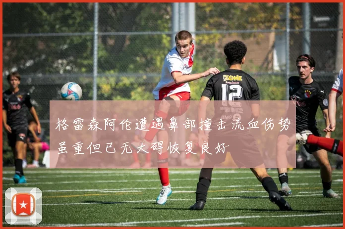 格雷森阿伦遭遇鼻部撞击流血伤势虽重但已无大碍恢复良好